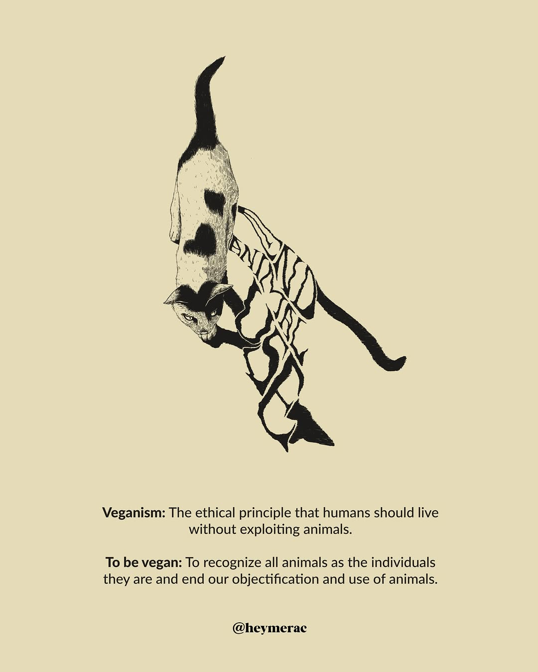 It is time to leave the empty words and stop being an animal exploiter.